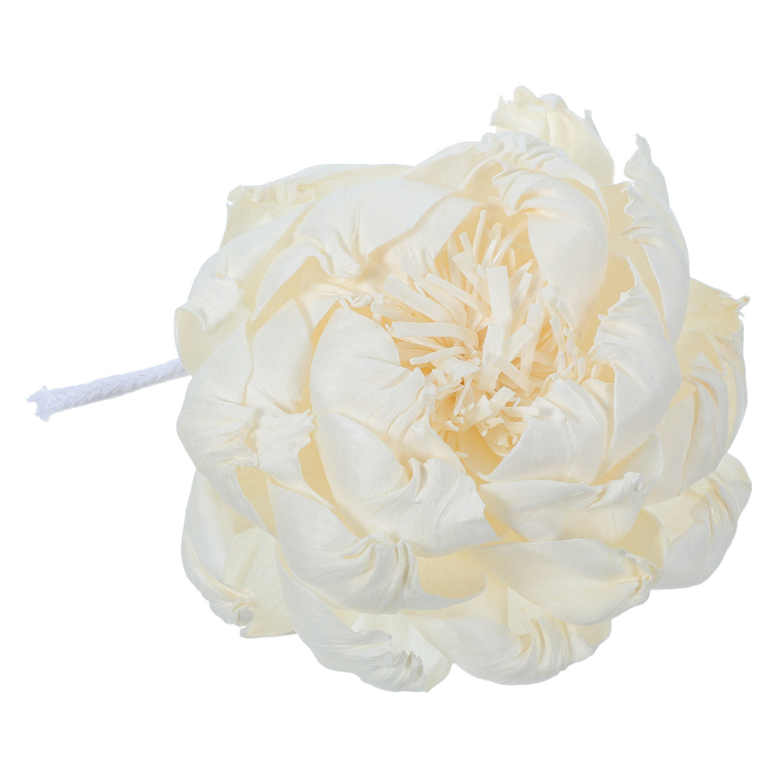 Dyfuzor zapachowy z głową piwo – Home Fragrance Flowers recenzja i cena