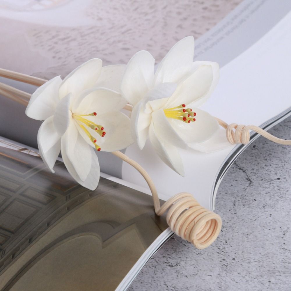 Wielofunkcyjne, naturalne, ręc – Home Fragrance Incense recenzja i cena